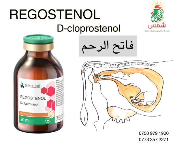 REGOSTENOL - Image 2