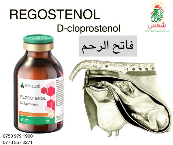 REGOSTENOL - Image 3