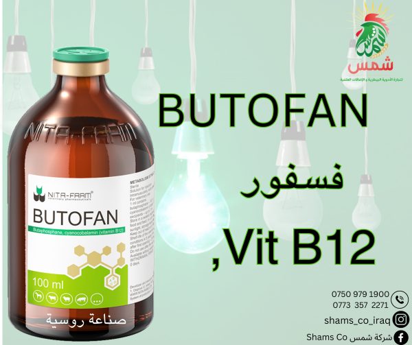 BUTOFAN - Image 2