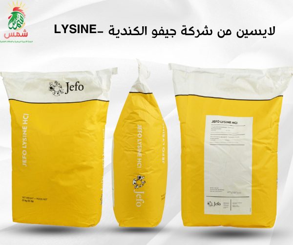 JEFO LYSINE HCL