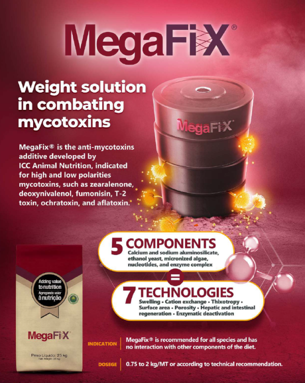 MEGAFIX - Image 3