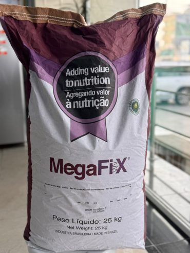 MEGAFIX