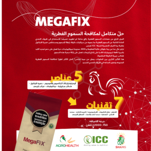 MEGAFIX