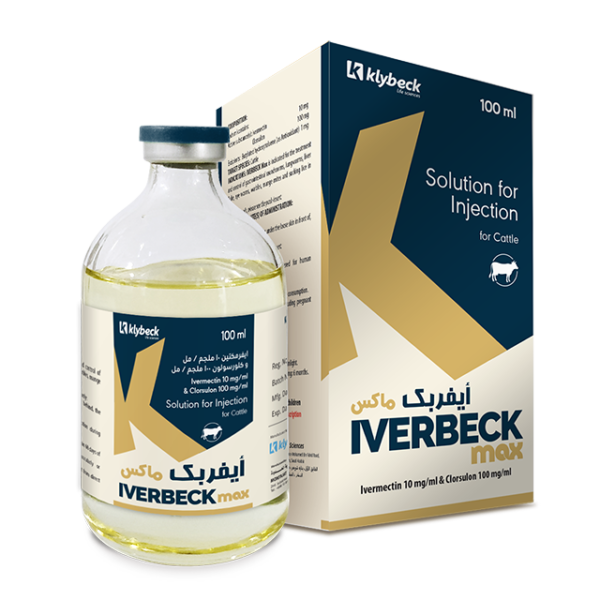 Iverbeck MAX - Shams Al-Rubaieen
